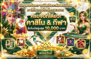 d55-promotion